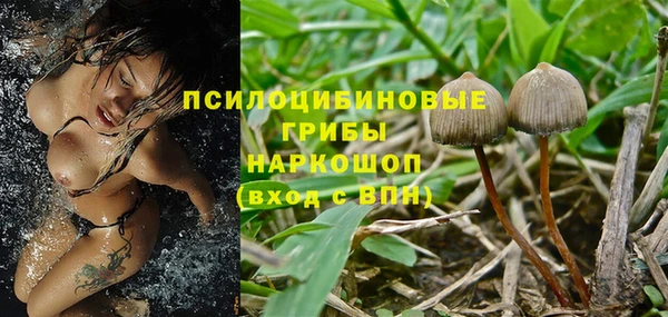 таблы Богородск