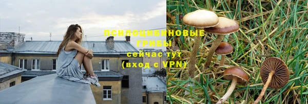 тгк Аркадак
