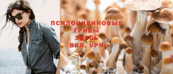мет Армянск