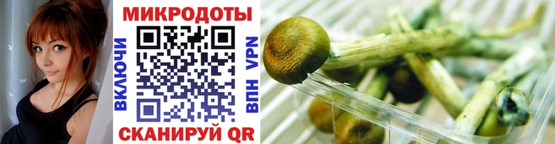 где купить   Тогучин  Псилоцибиновые грибы MAGIC MUSHROOMS 